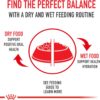 Royal Canin X-Small Adult Dry Dog Food, 2.5 lb bag - Image 5