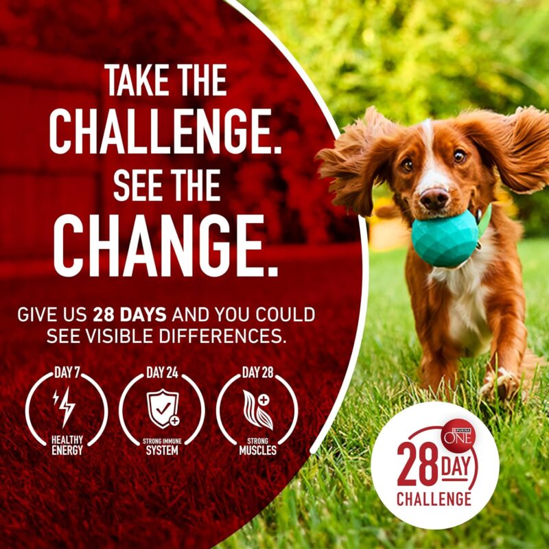 Purina ONE True Instinct With Real Salmon and Tuna Natural With Added Vitamins, Minerals and Nutrients High Protein Dog Food Dry Formula - 36 lb. Bag - Image 10