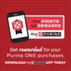 Purina ONE High Protein, Grain Free Pate Wet Cat Food Variety Pack, Grain Free Formula - (Pack of 24) 3 oz. Cans - Image 2