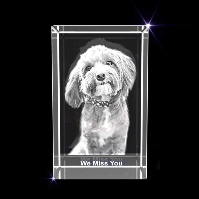 Personalized Pet 3D Engraved Crystal Photo Gift (Medium Rectangle) - Image 2