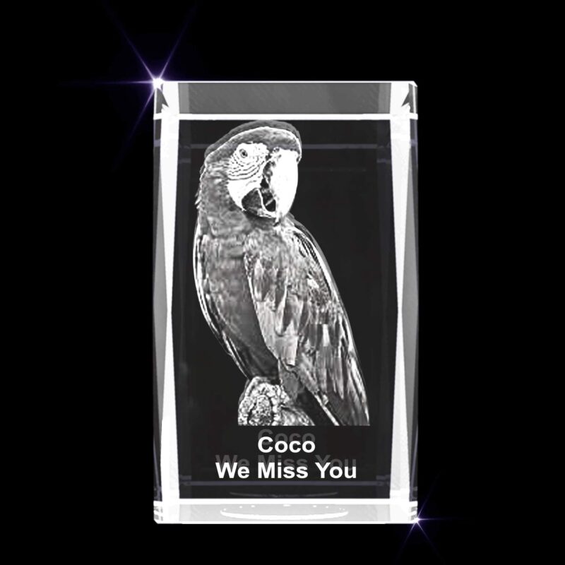Personalized Pet 3D Engraved Crystal Photo Gift (Medium Rectangle) - Image 4