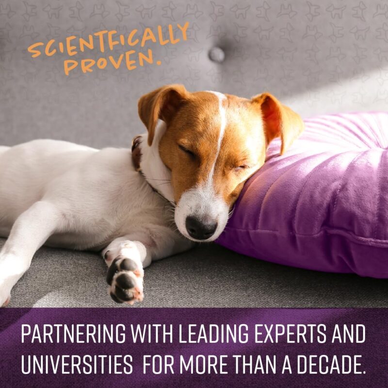 Sentry Calming Chews for Dogs, Calming Aid Helps to Manage Stress & Anxiety, with Pheromones That May Help Curb Destructive Behavior & Separation Anxiety, Calming Health Supplement for Dogs, 60 Count - Image 4