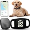 Smart Pet Tracker with Collar Holder, Personalized Dog Location Finder, MFi Certified, No Monthly Fees, Compatible with Apple Find My (iOS Only), Not a GPS Tracker-Black