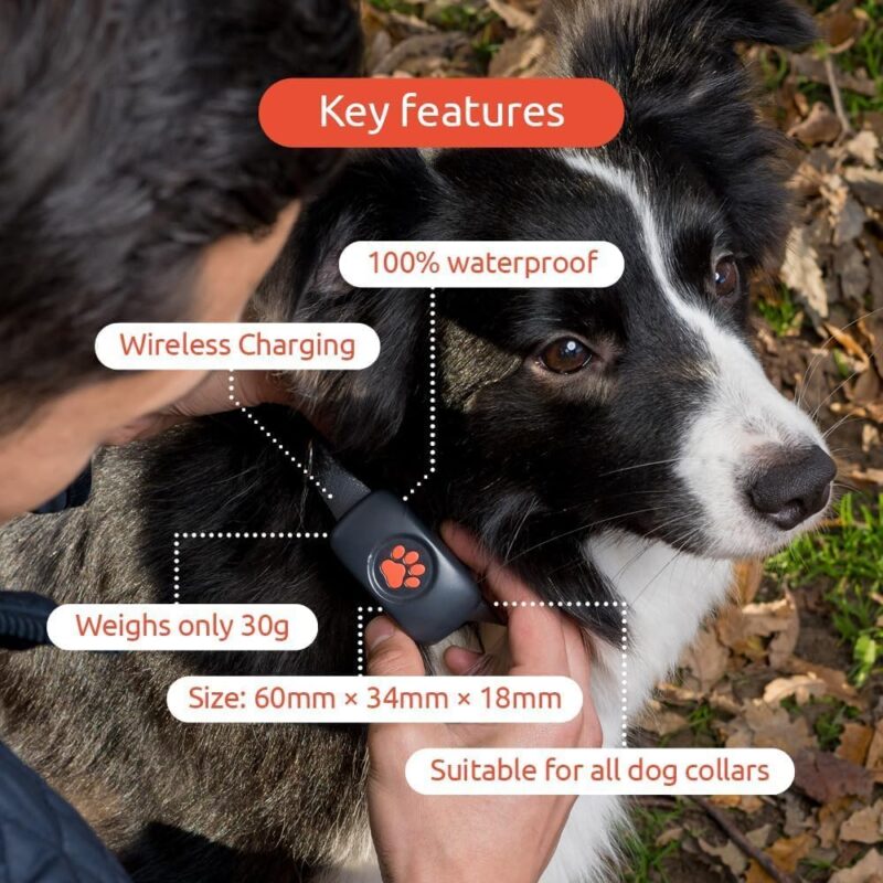 GPS Tracker for Dogs - No Subscription Fees - Suitable for All Dogs and Fits All Collars - Smart Activity Tracker, Satellite Tracking with Unlimited Range - 100% Waterproof Pet Tracker (Black) - Image 4