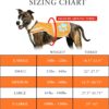 Reflective Dog Vest. Hi-Visibility, Fluorescent Blaze Orange Dog Vest Helps Protect Your Best Friend. Safeguard Your PUP from Motorists & Hunting Accidents, On or Off Leash. (XL) - Image 2