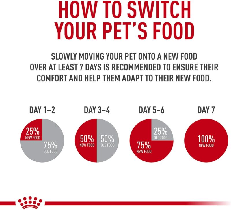 Royal Canin Small Indoor Adult Dry Dog Food, 2.5 lb bag - Image 7