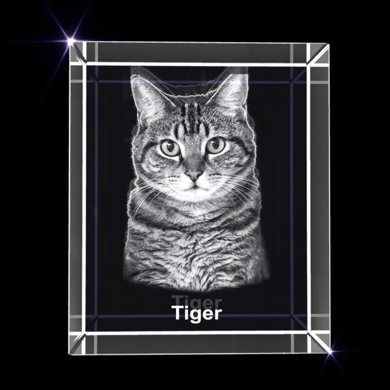 Personalized Pet 3D Engraved Crystal Photo Gift (Medium Rectangle)