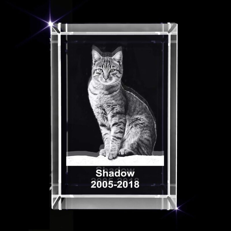 Personalized Pet 3D Engraved Crystal Photo Gift (Medium Rectangle) - Image 3