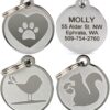 GoTags Dog ID Tags, Fun Playful Designs, Personalized Engraved Stainless-Steel Dog & Cat Pet Tags.