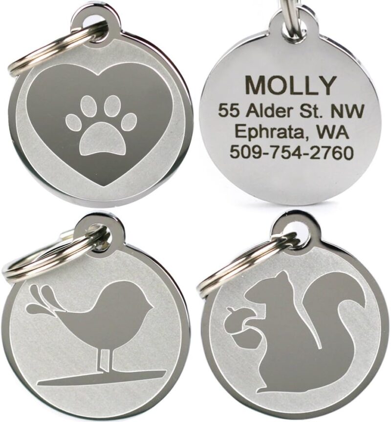 GoTags Dog ID Tags, Fun Playful Designs, Personalized Engraved Stainless-Steel Dog & Cat Pet Tags.