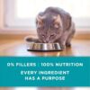 Purina ONE High Protein, Grain Free Pate Wet Cat Food Variety Pack, Grain Free Formula - (Pack of 24) 3 oz. Cans - Image 7