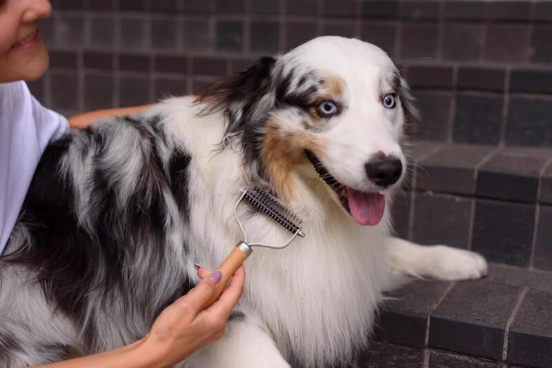 Pet Undercoat Rake for Dogs and Cats, Featuring Double-Sided Steel Blade for Knot Removal and Shedding Control, Complete with Wooden Handle, Suitable for All Hair Types - Image 2