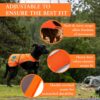 Reflective Dog Vest. Hi-Visibility, Fluorescent Blaze Orange Dog Vest Helps Protect Your Best Friend. Safeguard Your PUP from Motorists & Hunting Accidents, On or Off Leash. (XL) - Image 3