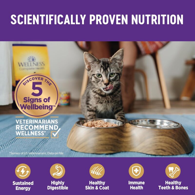Wellness Complete Health Grain-Free Wet Canned Kitten Food, Made in USA with Real Meat, All Breeds, Smooth Pate (Kitten, Whitefish & Chicken Bundle, 3-Ounce Can, Pack of 12) - Image 5