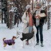 Kuoser Warm Dog Coat, Reversible Dog Jacket Waterproof Dog Winter Coat British Style Plaid Dog Clothes Pet Dog Cold Weather Coats Cozy Snow Jacket Vest for Small Medium Large Dogs Purple M - Image 6