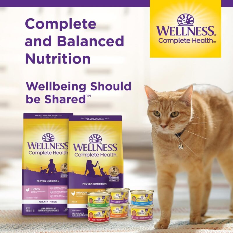 Wellness Complete Health Grain-Free Wet Canned Kitten Food, Made in USA with Real Meat, All Breeds, Smooth Pate (Kitten, Whitefish & Chicken Bundle, 3-Ounce Can, Pack of 12) - Image 9