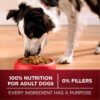 Purina ONE True Instinct With Real Salmon and Tuna Natural With Added Vitamins, Minerals and Nutrients High Protein Dog Food Dry Formula - 36 lb. Bag - Image 8