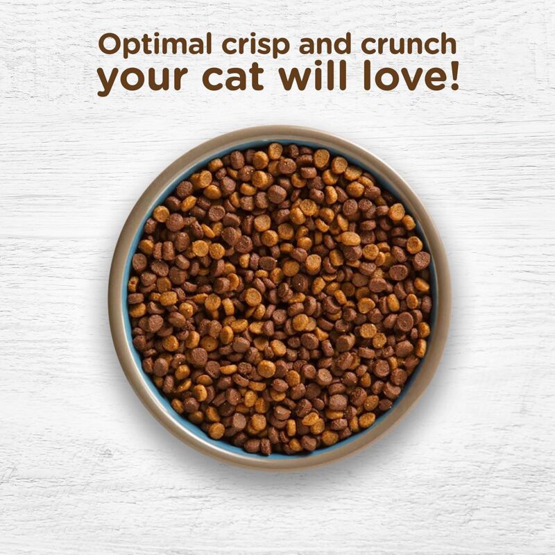 Rachael Ray Nutrish Indoor Complete Premium Natural Dry Cat Food, Chicken with Lentils & Salmon Recipe, 14 Pounds (Packaging May Vary) - Image 7