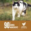 ORIJEN Original Cat, Grain Free Dry Cat Food for All Life Stages, with WholePrey Ingredients, 4lb - Image 5