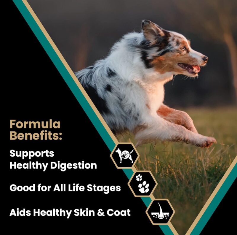 Victor Super Premium Dog Food – Select - Ocean Fish Formula – Gluten Free Dry Dog Food for All Normally Active Dogs of All Life Stages, 40lbs - Image 2