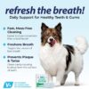 Vetnique Dentabliss - Dog Teeth Cleaning Finger Mitt Dental Wipe - Dog Plaque and Tartar Prevention with Brushing Beads - Convenient Peppermint Dog Teeth Wipes, Dog Breath Freshener - Image 2