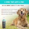 Pets Are Kids Too Premium Pet Dental Spray - 8oz Mint Dog Breath Freshener Cat Dental Care Dog Dental Mouthwash Dog Spray Dog Teeth Cleaning Fights Tartar Plaque Gum Disease Dog Breath Water Additive - Image 2
