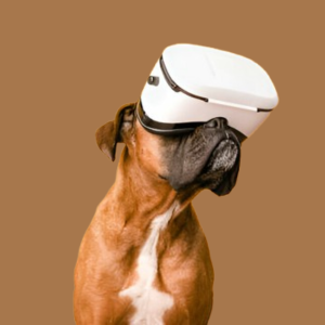 Smart Pet Tech & Accessories